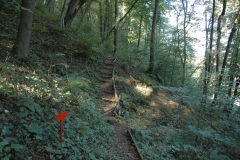 Waldweg